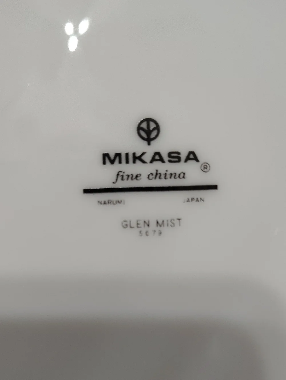 Mikasa elegant white